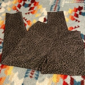 Evolution and creation legging